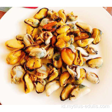 Kerang beku segar